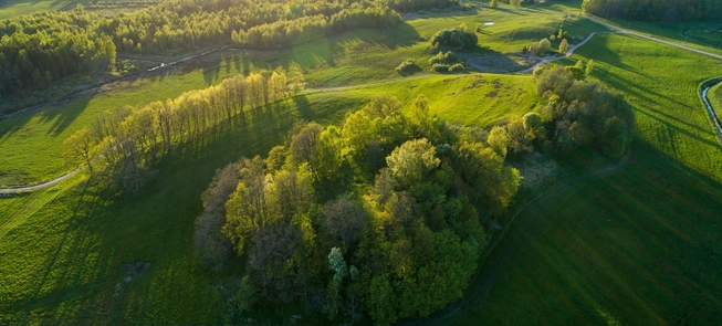 Šarnelė mound